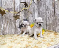 processed/f14b5772-c6ab-41dd-bb59-8e4636f207d3/facility/53c908df-c965-426c-bdf1-16af28ee603c