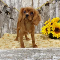 processed/f14b5772-c6ab-41dd-bb59-8e4636f207d3/facility/b4cb1ca3-4deb-4b6f-ac0e-ae7a2417eb78