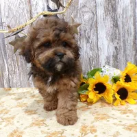 processed/f14b5772-c6ab-41dd-bb59-8e4636f207d3/facility/b9c01083-86cb-445d-8830-fa6c799d8334