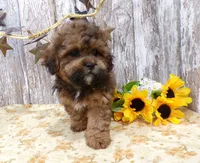 processed/f14b5772-c6ab-41dd-bb59-8e4636f207d3/facility/b9c01083-86cb-445d-8830-fa6c799d8334