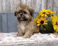 processed/f14b5772-c6ab-41dd-bb59-8e4636f207d3/facility/cc2c7e3a-9c4f-4532-9279-10be4496fd0c