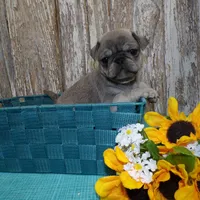 processed/f14b5772-c6ab-41dd-bb59-8e4636f207d3/facility/cfe8f087-1cba-4cbd-a26e-b36f444ebf1d