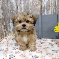 processed/f14b5772-c6ab-41dd-bb59-8e4636f207d3/facility/f9d98e72-d5a0-4be6-b4ea-98c9f099efd3