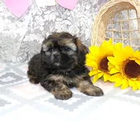 processed/f14b5772-c6ab-41dd-bb59-8e4636f207d3/listing/6d46242c-667f-46af-8794-aab465b6e1e0/01006186-6db5-41f5-81fa-f0cf27b5ee9b