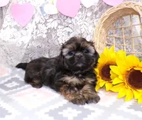 processed/f14b5772-c6ab-41dd-bb59-8e4636f207d3/listing/6d46242c-667f-46af-8794-aab465b6e1e0/6aa20b20-ce74-46c0-8492-6d4065797dc0