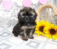 processed/f14b5772-c6ab-41dd-bb59-8e4636f207d3/listing/6d46242c-667f-46af-8794-aab465b6e1e0/98d80b28-714d-4891-a049-df7a44dbe7ff