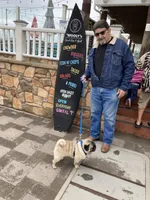 Honey AKC, a female Pug for sale in Tulare, CA – 10 of 10