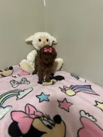 Lola , a female Poodle - Toy  for sale in O Fallon, MO – 4 of 8