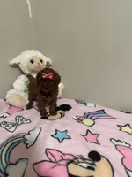 Lola , a female Poodle - Toy  for sale in O Fallon, MO – 2 of 8