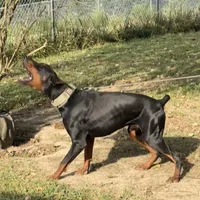 processed/f15b40e4-86d8-4394-986e-8b808437b608/facility/22c18bb3-c0b8-4d45-a577-fd17b8e13a67