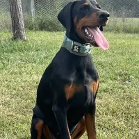 processed/f15b40e4-86d8-4394-986e-8b808437b608/facility/638e80a9-3625-419e-b778-04fa338a0db4