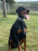 processed/f15b40e4-86d8-4394-986e-8b808437b608/facility/638e80a9-3625-419e-b778-04fa338a0db4