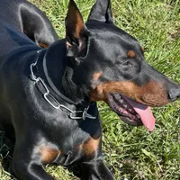 processed/f15b40e4-86d8-4394-986e-8b808437b608/facility/a50db720-d324-4d90-a2c2-73f16c04e616