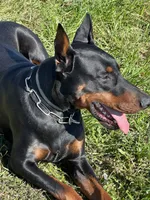 processed/f15b40e4-86d8-4394-986e-8b808437b608/facility/a50db720-d324-4d90-a2c2-73f16c04e616