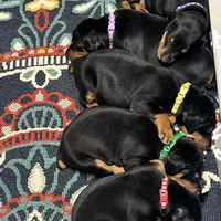 processed/f15b40e4-86d8-4394-986e-8b808437b608/facility/c9b58ec8-33ae-46cf-91e9-a579bba20c81