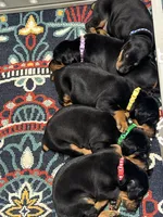 processed/f15b40e4-86d8-4394-986e-8b808437b608/facility/c9b58ec8-33ae-46cf-91e9-a579bba20c81