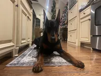 processed/f15b40e4-86d8-4394-986e-8b808437b608/facility/d433b9dc-d215-46c5-8ef3-f4e7442f1d32