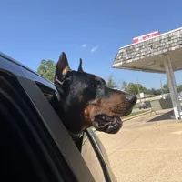 processed/f15b40e4-86d8-4394-986e-8b808437b608/facility/fa163231-f718-4348-8626-b1b242706f4c