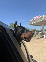 processed/f15b40e4-86d8-4394-986e-8b808437b608/facility/fa163231-f718-4348-8626-b1b242706f4c