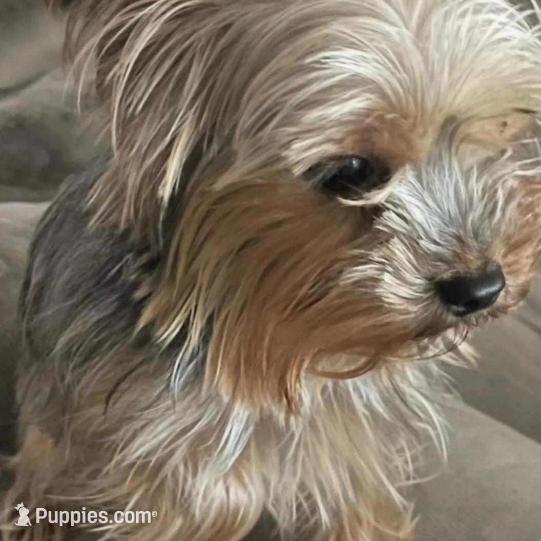 processed/f15d13d8-9db1-4ed1-8559-f1e6cb975bd9/facility/37e94d69-4800-40de-9bdc-6f9ae76f1d4c