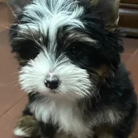 processed/f15d13d8-9db1-4ed1-8559-f1e6cb975bd9/facility/cf6b4f6a-f555-4565-bad9-00f516429149