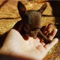 processed/f15ef7c9-49bc-4e47-8474-d523061a54e9/facility/3e1b0288-51a6-4d57-b51e-a8c1d0f1b7ef