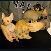 processed/f15ef7c9-49bc-4e47-8474-d523061a54e9/facility/51dc1e13-848a-4777-a8c0-9ea641607f23