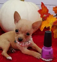 processed/f15ef7c9-49bc-4e47-8474-d523061a54e9/facility/5a6abbf9-d379-4869-a6dc-b78e53ea4919