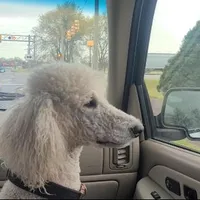 processed/f15ef7c9-49bc-4e47-8474-d523061a54e9/facility/836b79c9-b74e-4d54-88ff-95f151c6e93d