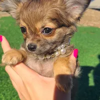 processed/f15ef7c9-49bc-4e47-8474-d523061a54e9/facility/b7cf15a5-fd48-4170-8d6c-9233ea873e4a