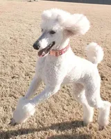 processed/f15ef7c9-49bc-4e47-8474-d523061a54e9/facility/baa98968-a9bd-4fad-b965-397fede8725a