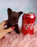 processed/f15ef7c9-49bc-4e47-8474-d523061a54e9/facility/bd45e31c-067f-4505-80fc-982a267defd0