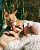 processed/f15ef7c9-49bc-4e47-8474-d523061a54e9/facility/d88f3606-5bec-4dcb-85c6-6aed1c118a04