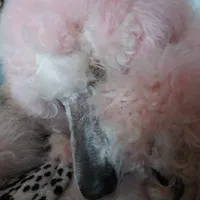 processed/f15ef7c9-49bc-4e47-8474-d523061a54e9/facility/e17dabc3-e834-495e-95d5-4cc7bb15fffa