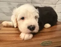 processed/f165b380-c7ad-4696-9fda-fb7e4be7aa88/listing/c5fc1014-428a-4ec2-bfee-998b71cab791/550c7b06-c17d-43d7-9f98-079328cd5758