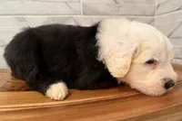 processed/f165b380-c7ad-4696-9fda-fb7e4be7aa88/listing/c5fc1014-428a-4ec2-bfee-998b71cab791/a28f4e43-b78e-40ea-88e8-127fb8442cd6