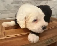 processed/f165b380-c7ad-4696-9fda-fb7e4be7aa88/listing/c5fc1014-428a-4ec2-bfee-998b71cab791/dde65c88-1239-4458-912d-ff60af5f951b