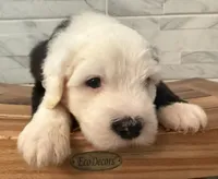 processed/f165b380-c7ad-4696-9fda-fb7e4be7aa88/listing/c5fc1014-428a-4ec2-bfee-998b71cab791/e1268d5b-520a-43a1-a1c7-8b6ec1e486e6