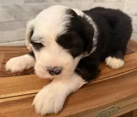 processed/f165b380-c7ad-4696-9fda-fb7e4be7aa88/listing/f556380c-28b7-4ec3-acb9-134433361eb5/2488070c-81c1-47b9-af1f-ef71ae906540