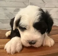 processed/f165b380-c7ad-4696-9fda-fb7e4be7aa88/listing/f556380c-28b7-4ec3-acb9-134433361eb5/52f20515-d7a1-4282-801a-ccaed0cad99a