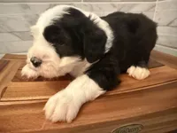 processed/f165b380-c7ad-4696-9fda-fb7e4be7aa88/listing/f556380c-28b7-4ec3-acb9-134433361eb5/65775734-77f4-49fe-ae60-813f2f43c831