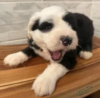 processed/f165b380-c7ad-4696-9fda-fb7e4be7aa88/listing/f556380c-28b7-4ec3-acb9-134433361eb5/e7553935-0100-445b-bddc-b88b4dca7c97