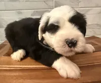 processed/f165b380-c7ad-4696-9fda-fb7e4be7aa88/listing/f556380c-28b7-4ec3-acb9-134433361eb5/eee02443-f027-4545-8d6d-8ace46bc8cf9