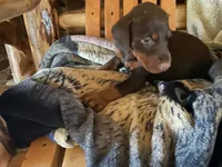 processed/f1688c06-7bb0-4e7e-9107-d52fba32087a/listing/3d1c17d3-cf2c-479d-ab3e-bac3d28fb1d0/629761d3-cb04-4104-86cd-d9275e0d1079