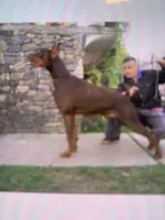 processed/f1688c06-7bb0-4e7e-9107-d52fba32087a/listing/3d1c17d3-cf2c-479d-ab3e-bac3d28fb1d0/8bec63fe-de00-40ca-aea4-be8a8db3fdf9