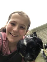 Piggy, a female Miniature Australian Shepherd for sale in Indianapolis, IN – 2 of 3