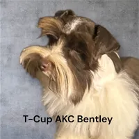 processed/f18ee2e6-9c30-47f3-94a3-7d606fee9952/facility/1375f321-2e54-4386-814c-d3a9c32c2923