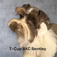 processed/f18ee2e6-9c30-47f3-94a3-7d606fee9952/facility/1375f321-2e54-4386-814c-d3a9c32c2923