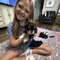 processed/f18ee2e6-9c30-47f3-94a3-7d606fee9952/facility/60b943e4-6763-438b-8741-f43cd21031ec