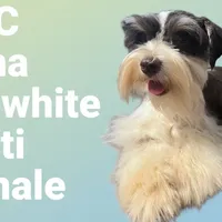 processed/f18ee2e6-9c30-47f3-94a3-7d606fee9952/facility/e0f426a9-8806-4602-8eaa-c03ae1325407